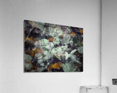 V804 Acrylic Print