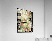 V809 Acrylic Print