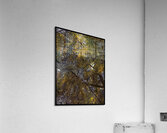 V812 Acrylic Print