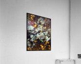 V821 Acrylic Print