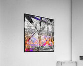 V822 Acrylic Print