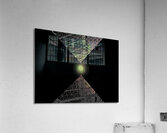V824 Acrylic Print