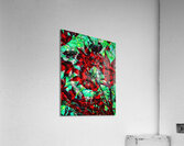 V828 Acrylic Print