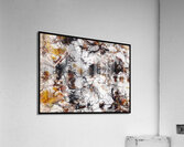 V832 Acrylic Print