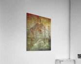 V833 Acrylic Print