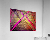 V837 Acrylic Print