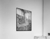 V839 Acrylic Print