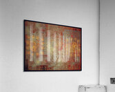 V841 Acrylic Print