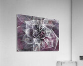 V850 Acrylic Print