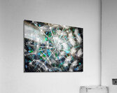 V857 Acrylic Print