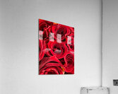 V862 Acrylic Print