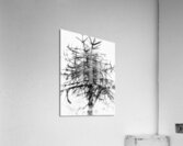 V863 Acrylic Print