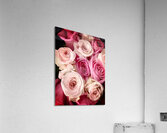V865 Acrylic Print