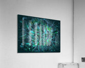V866 Acrylic Print