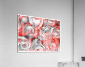 V867 Acrylic Print