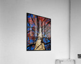 V877 Acrylic Print