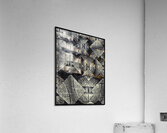 V878 Acrylic Print