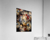 V880 Acrylic Print