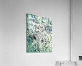 V882 Acrylic Print