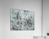 V883 Acrylic Print