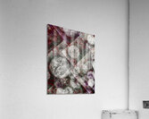 V887 Acrylic Print
