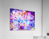 V894 Acrylic Print