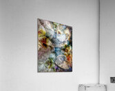 V895 Acrylic Print