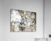 V896 Acrylic Print