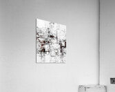 V898 Acrylic Print