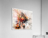 V899 Acrylic Print