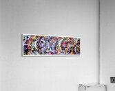 V903 Acrylic Print