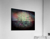 V904 Acrylic Print