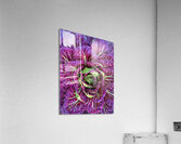 V909 Acrylic Print