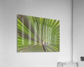 V910 Acrylic Print