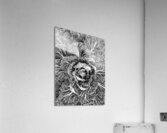 V914 Acrylic Print