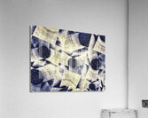 V915 Acrylic Print