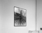 V918 Acrylic Print