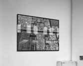 V920 Acrylic Print