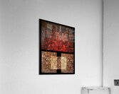 V922 Acrylic Print