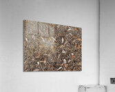 V924 Acrylic Print