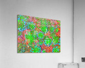 V926 Acrylic Print