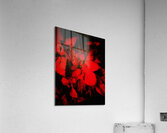 V931 Acrylic Print