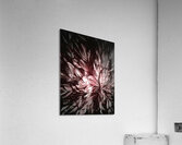 V933 Acrylic Print