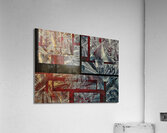 V934 Acrylic Print