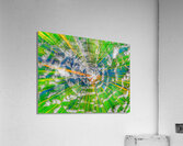 V935 Acrylic Print