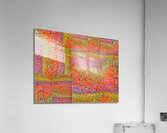 V936 Acrylic Print