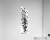 V949 Acrylic Print