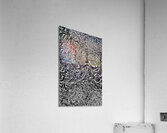 V951 Acrylic Print