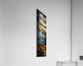 V952 Acrylic Print