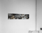 V954 Acrylic Print